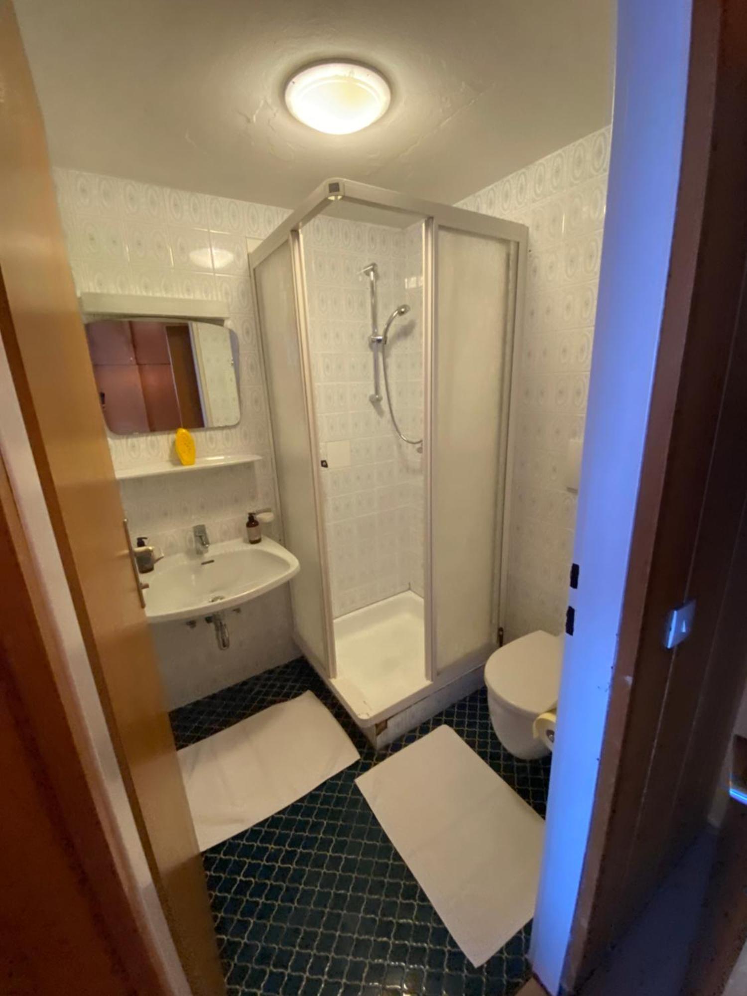Marina Alpen Haus Hotel Цел ам Зее Екстериор снимка