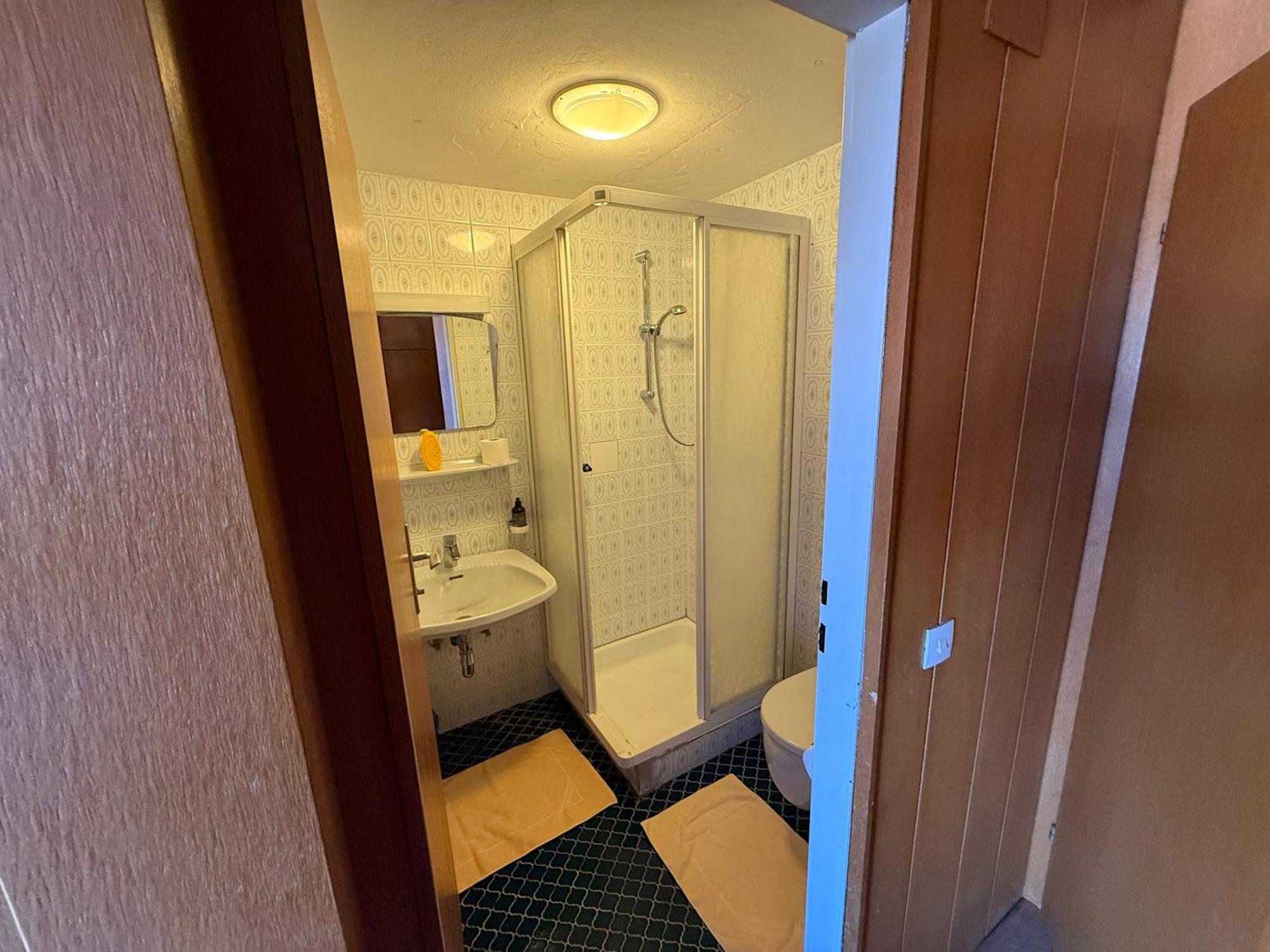 Marina Alpen Haus Hotel Цел ам Зее Екстериор снимка